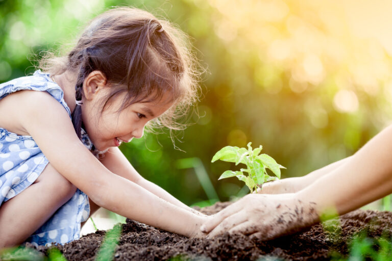 Asian little girl and parent planting young tree on black soil t