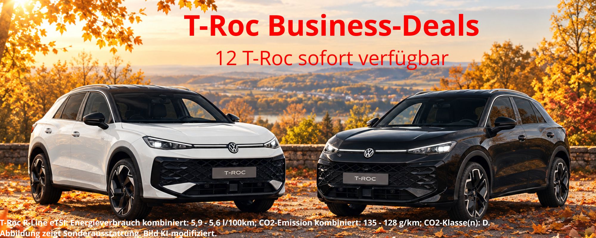 Auto-Müller Hüttenberg, T-Roc 12x Business